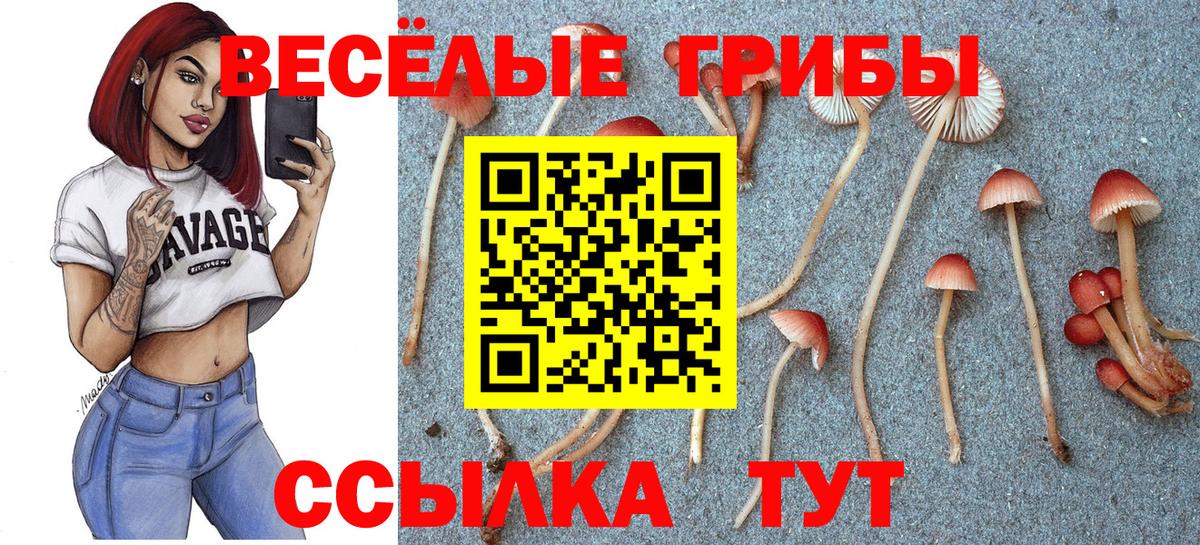 Галлюциногенные грибы мухоморы  Вход с VPN  Камышлов  Псилоцибиновые грибы GOLDEN TEACHER 