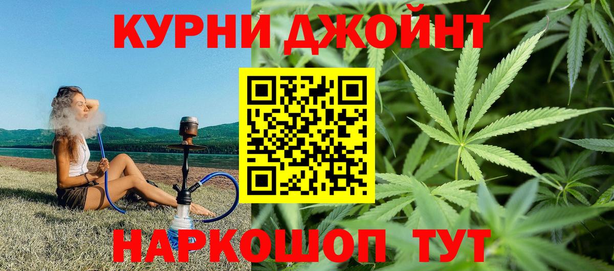Бошки марихуана индика  Вход с VPN  Камышлов  Шишки марихуана AK-47  Бошки марихуана конопля 
